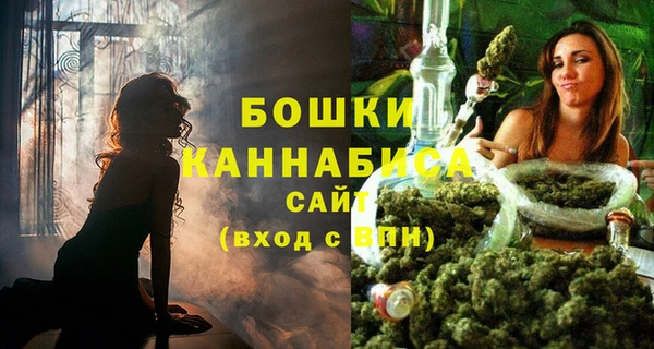 стафф Вяземский