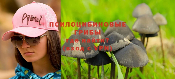 прущий лед Дмитровск
