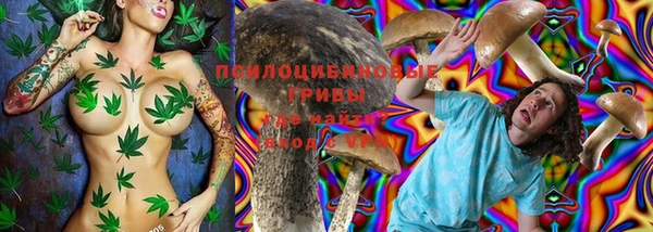 гашик Ростов