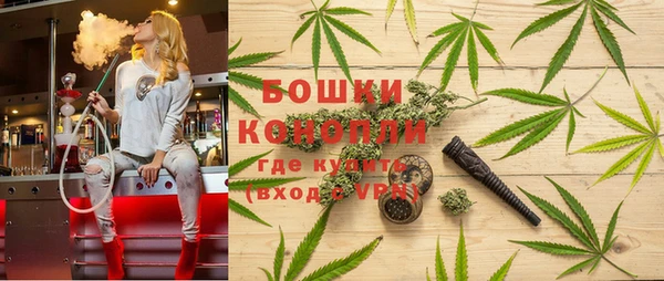 spice Гусь-Хрустальный