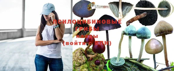 стафф Вяземский