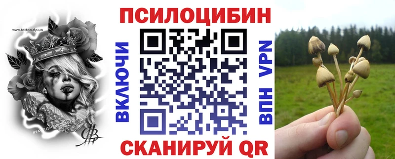 Псилоцибиновые грибы Psilocybine cubensis  Жиздра 