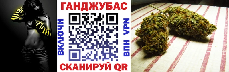 Каннабис сатива  Жиздра 
